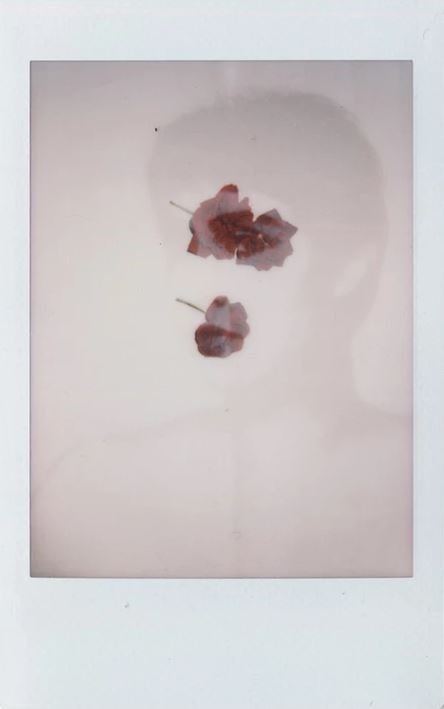 Janan Nozari, Untitled, 2020