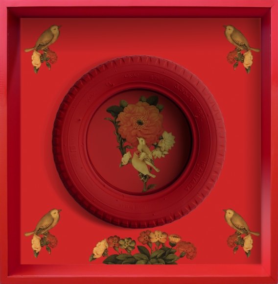 Masoumeh Abirinia, Cycle of Life, 2011