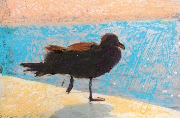فرشید مثقالی، بدون عنوان، 1386