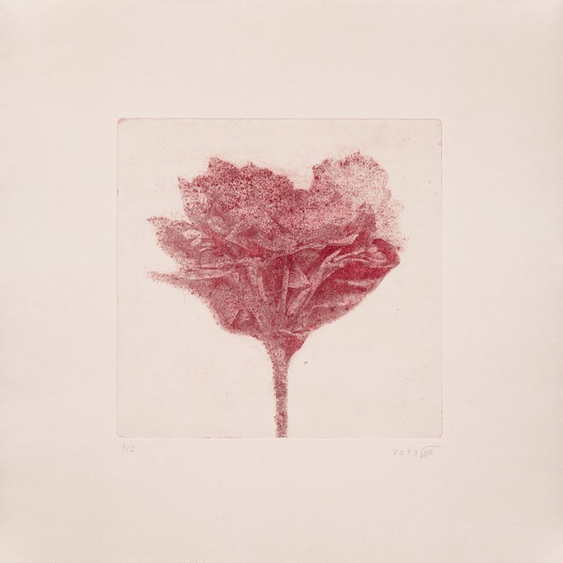 Kazhal Fakhri, Untitled