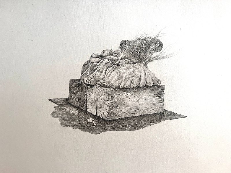 Nazanin Behzadi, Untitled