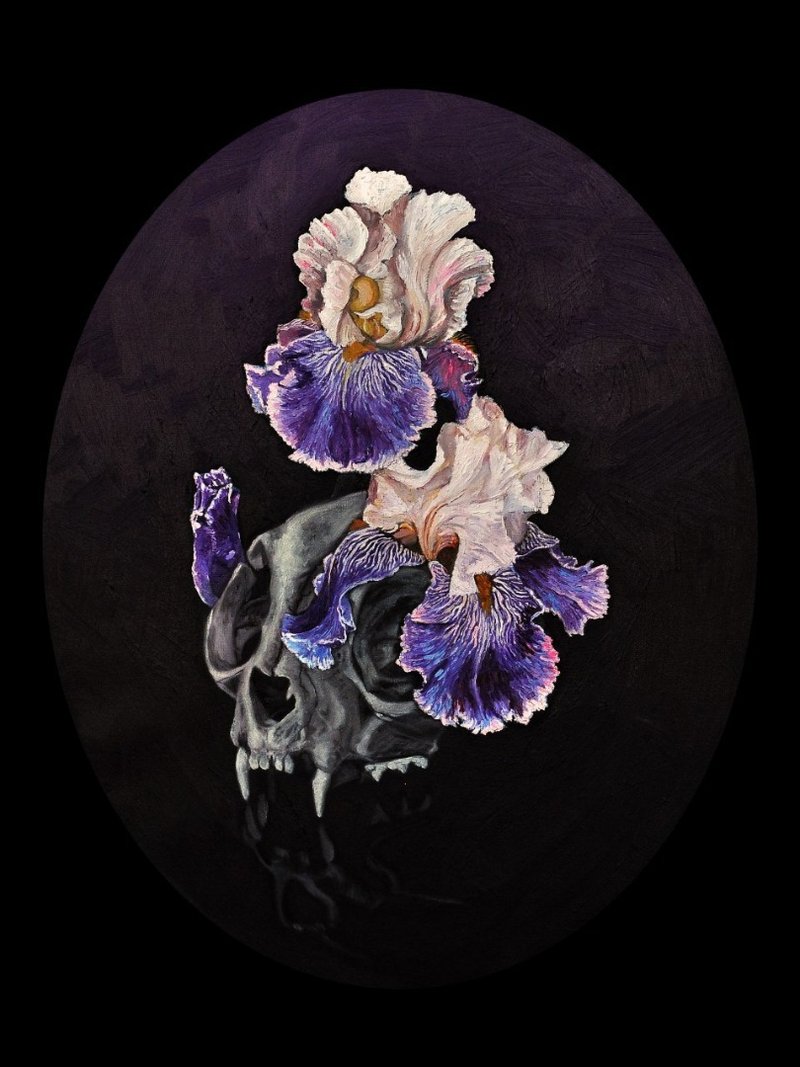 Vida Heidarzadeh, Untitled