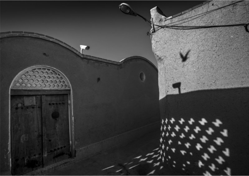 Samira Saramad, Untitled