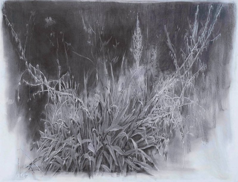 Mina Ghaziani, Untitled, 2023