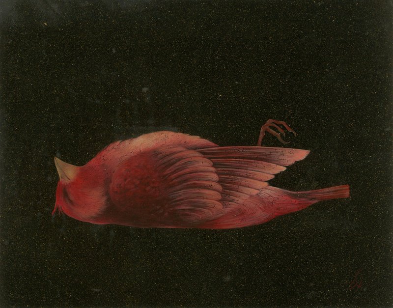 Nazi Azimi, The Bird, 2022