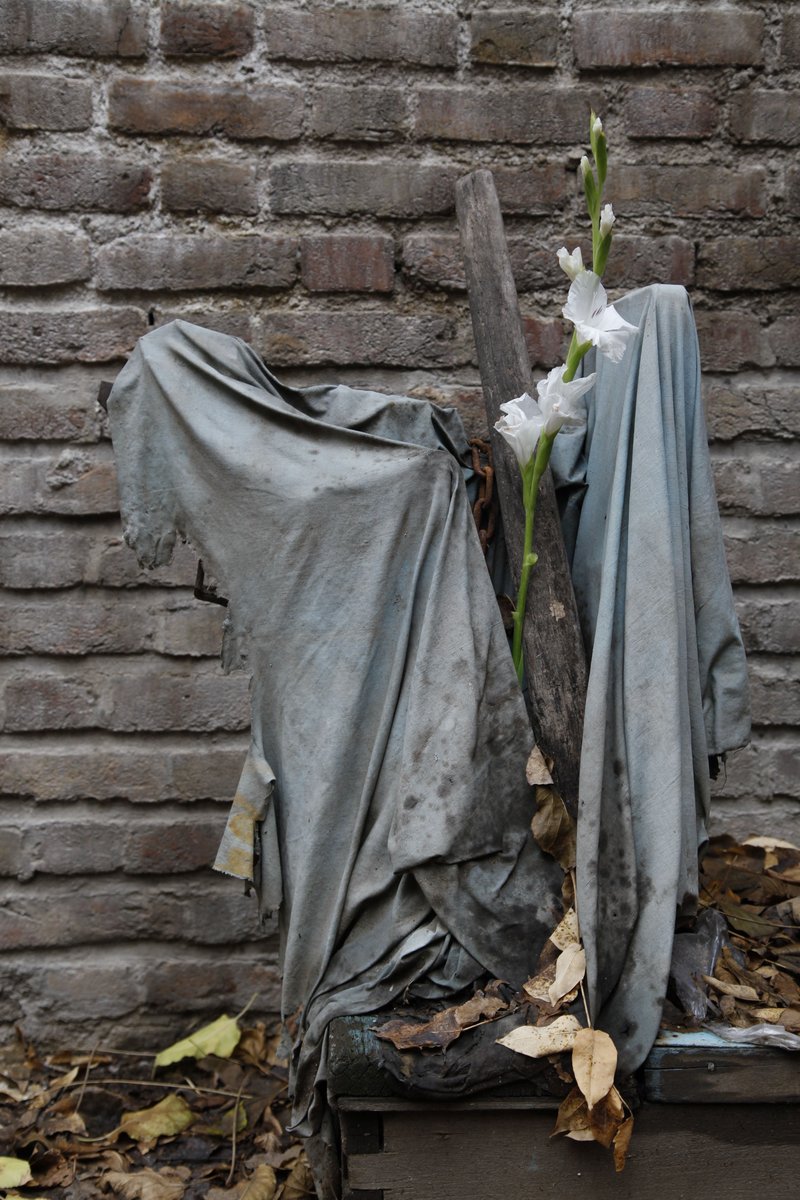 Melika Shafahi, Untitled, 2020