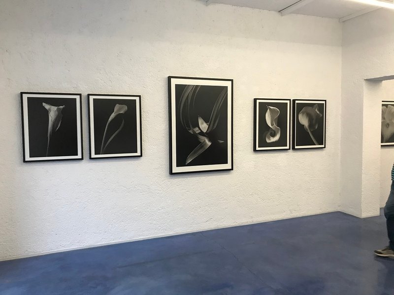 Photography Exhibition, installation view
