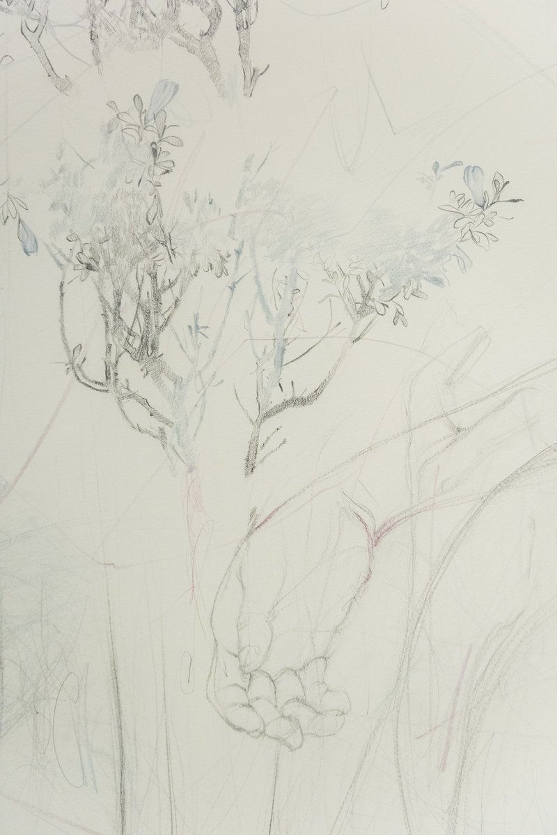 Behnaz Ghasemi, Untitled