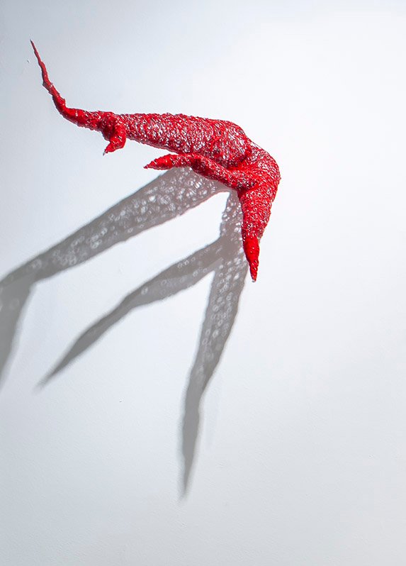 Dorna Abyak, Untitled, 2023