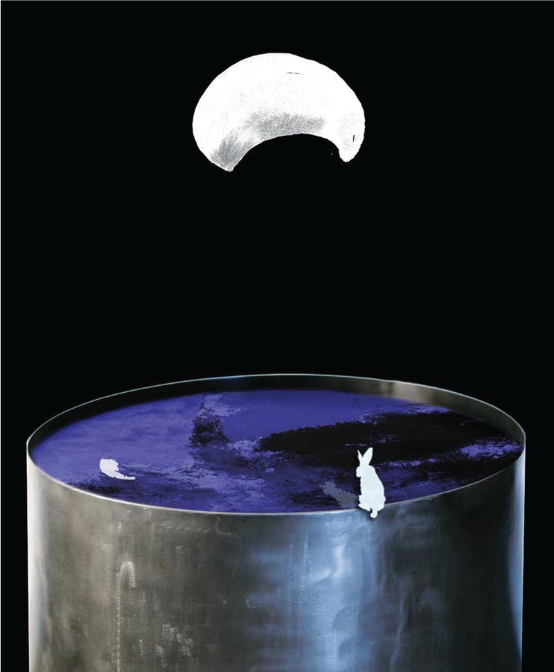 Farideh Lashai, Catching the Moon, 2012