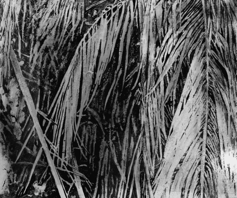 Nahid Haghighat, Movement of Leaves, 2015