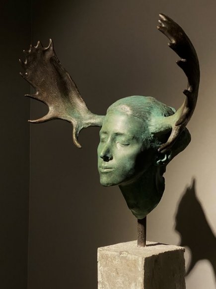 Sepehr Bakhtiyari, Widow, 2018
