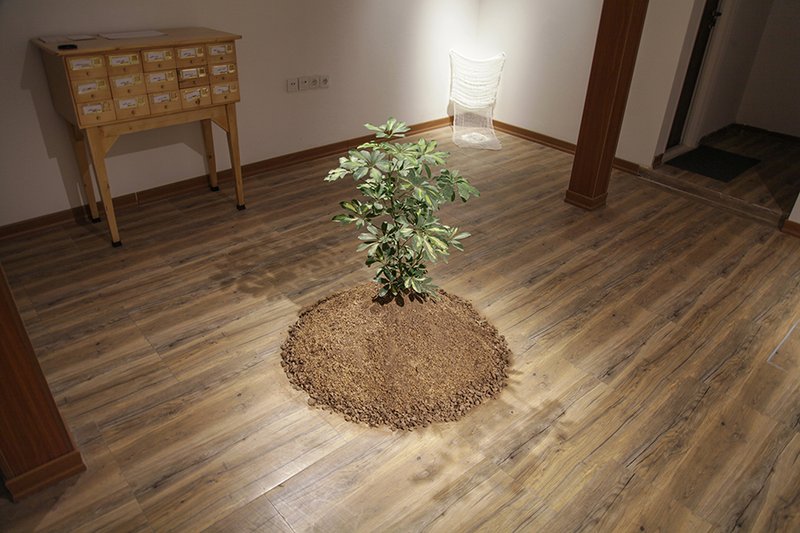 Hamed Dehqan, Untitled project, 2018