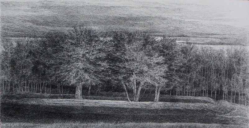 افسانه مسائلی، بدون عنوان، 1399