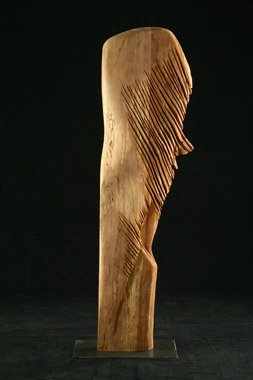 Fatemeh Emdadian, Untitled