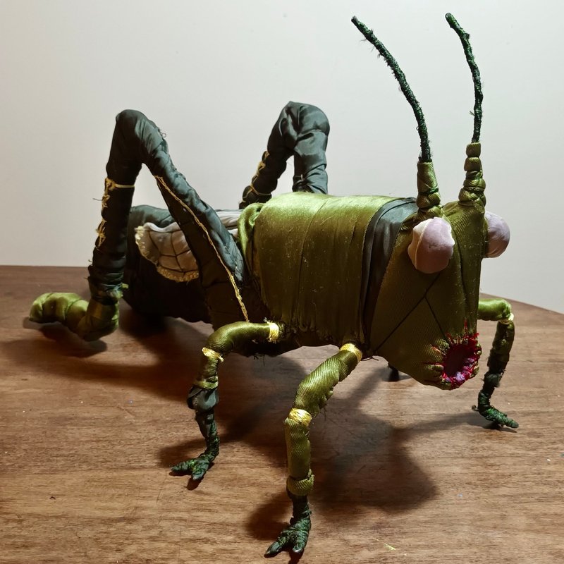 Mirmohamad Fatahi, Grasshopper, 2024