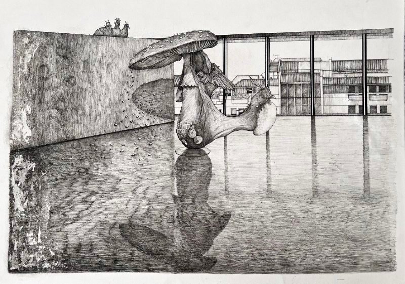 Nazanin Behzadi, Untitled