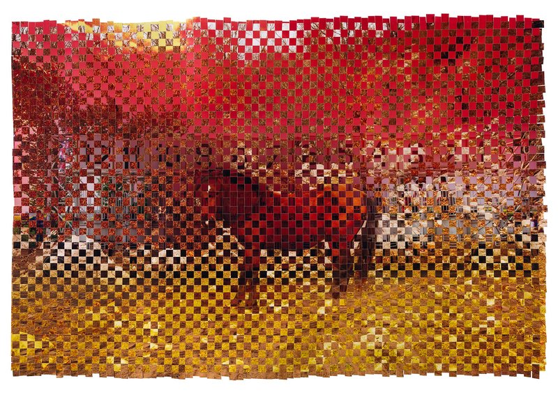 Arya Tabandehpoor, Untitled, 2025