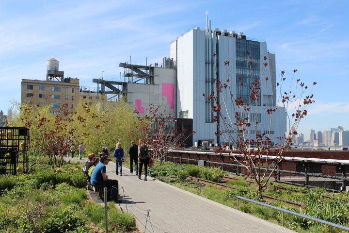 Whitney Museum Announces 2019 Biennial Participants, But One Artist Withdraws