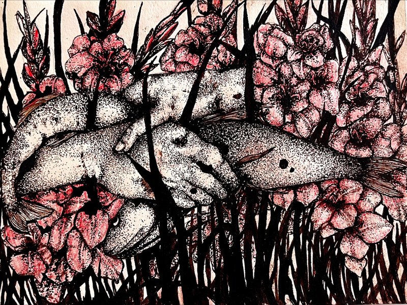Bahare Noorizadeh, Untitled