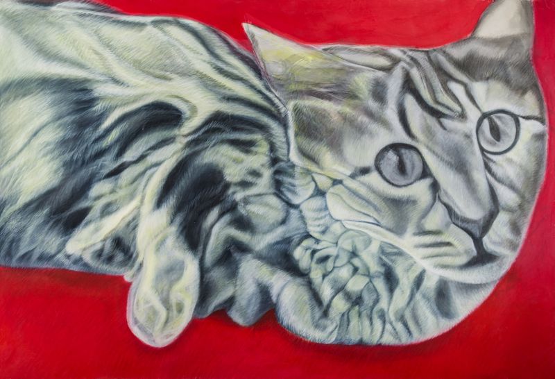 Pantea Rahmani, Untitled