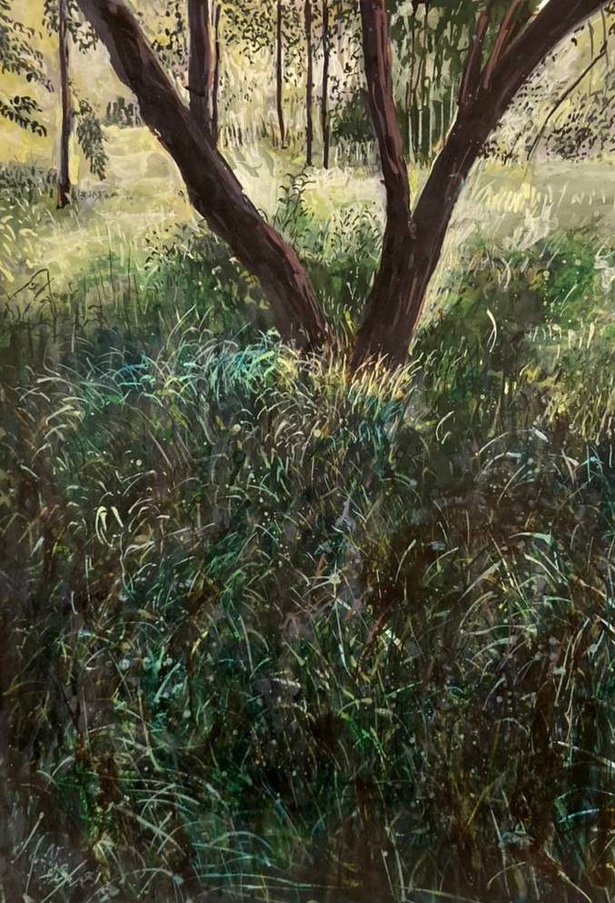 Ahmad Morshedloo, Untitled
