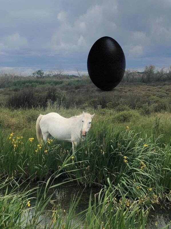 Rachel Rose, The Camargue Horse, 2020