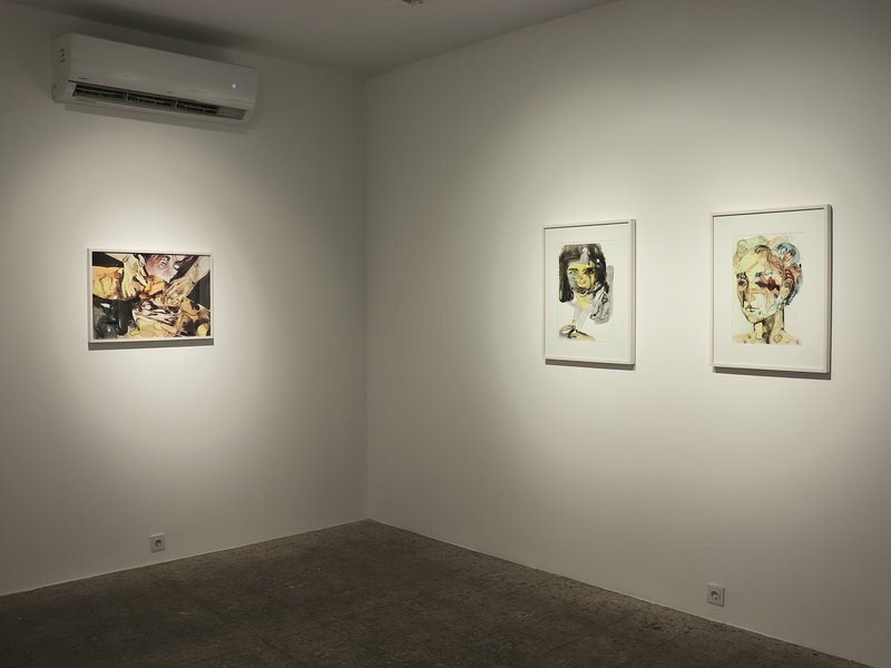 Shroud, installation view