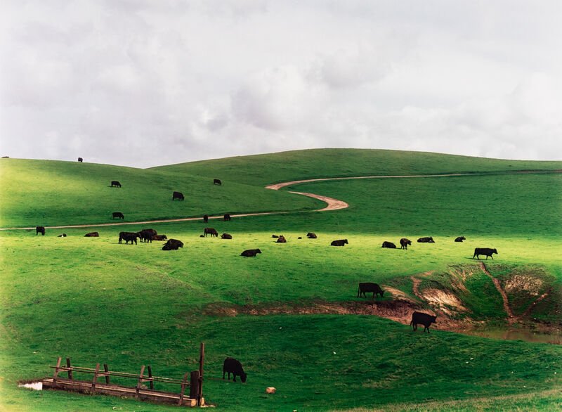 Cole Weston, Palo Corona Ranch, Carmel, 1962