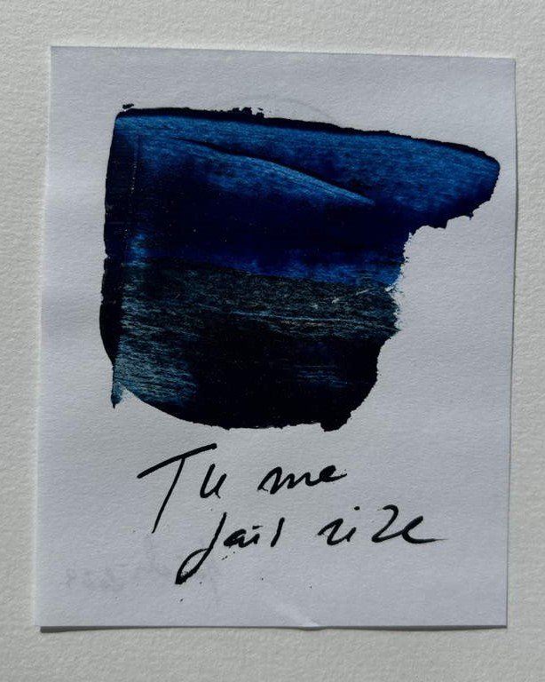 Hanieh Delecroix, Tu me fais rire, 2023