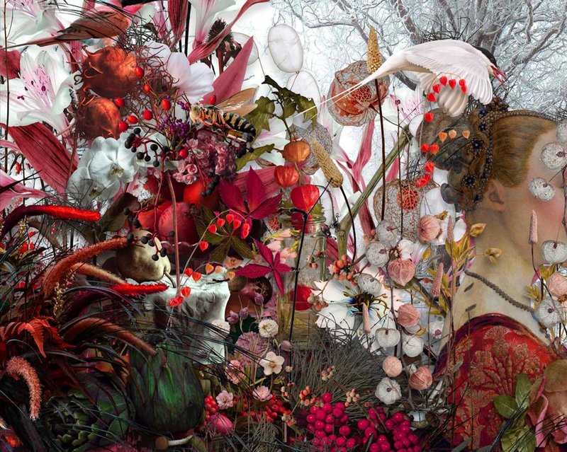 Naeemeh Kazemi, Untitled, 2023