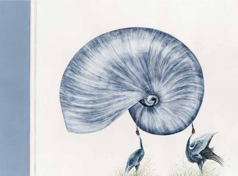 Leila Ghandchi, Untitled, 2023