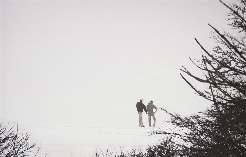 Abbas Gharib, Snow and Nature Composition, 2012