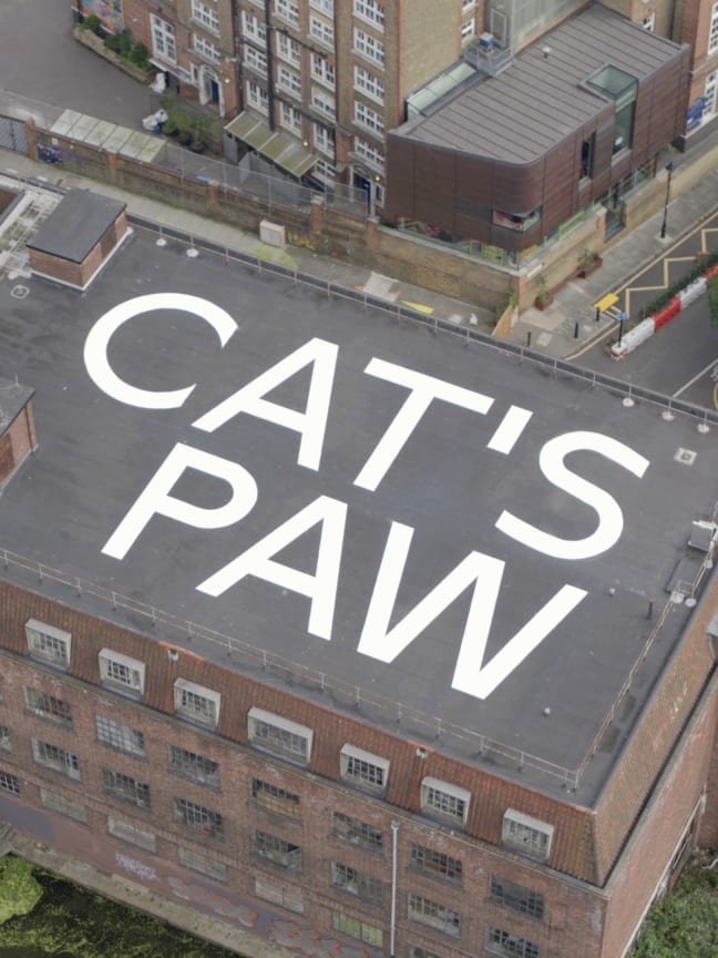 Abbas Akhavan, CAT'S PAW, 2021