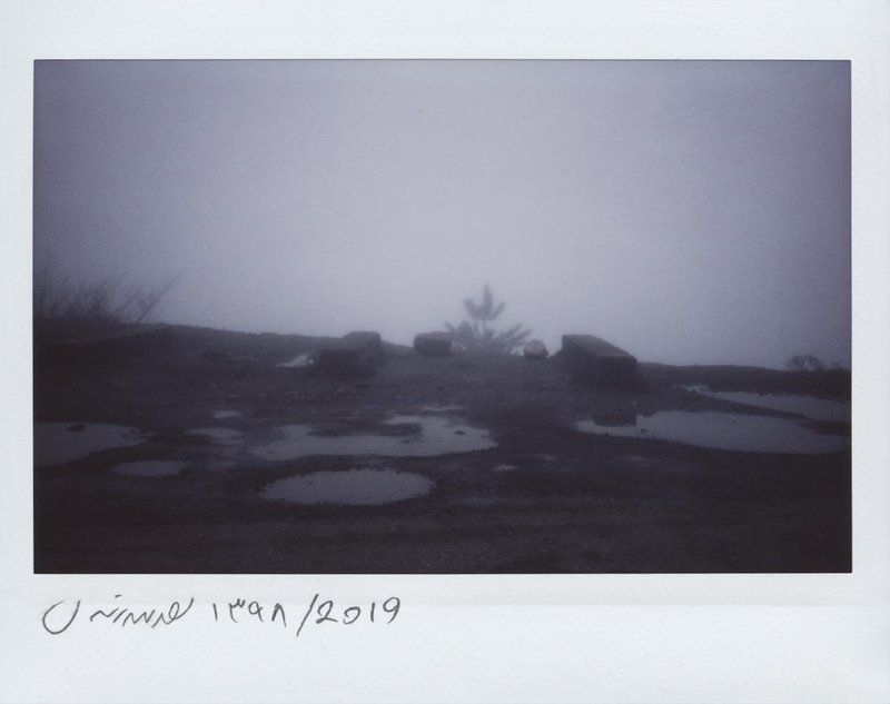 Mehrdad Afsari, Past Indefinite Tense, 2019