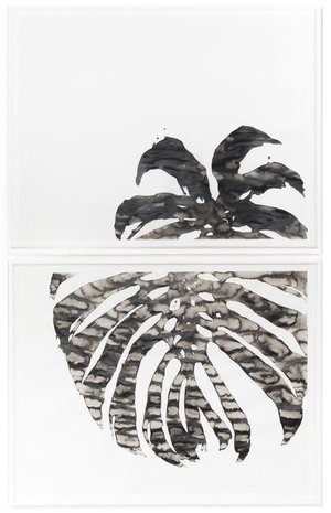 Abbas Akhavan, Untitled