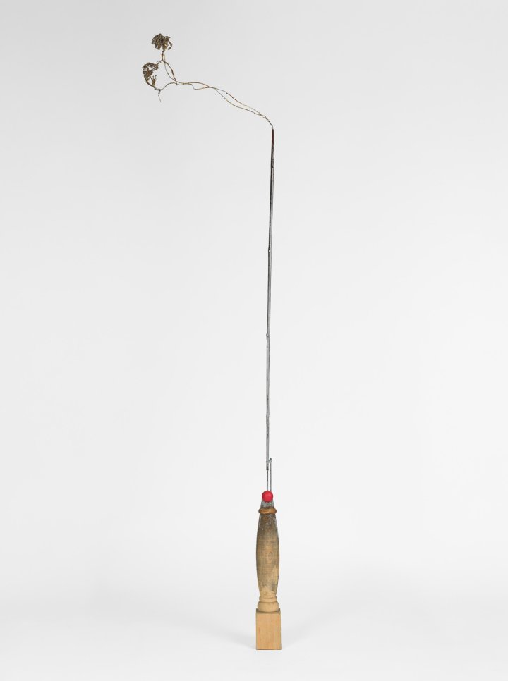 Shaqayeq Arabi, Untitled, 2025