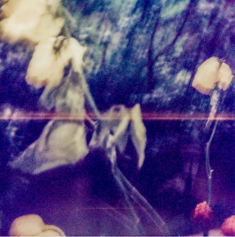 Mehrdad Afsari, Untitled