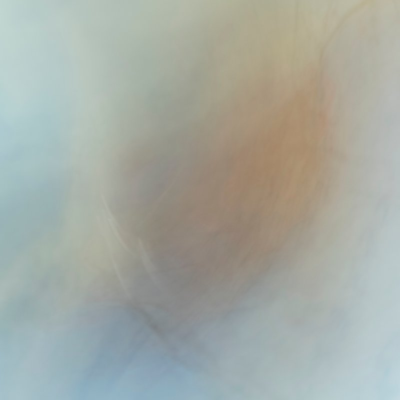 Mehran Mohajer, Untitled, 2018