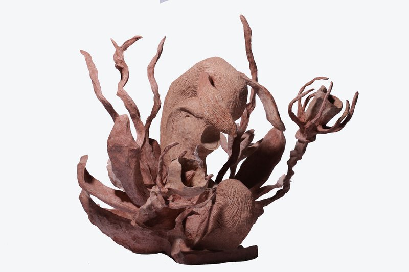 Elaheh Motamedi Moghaddam, Untitled