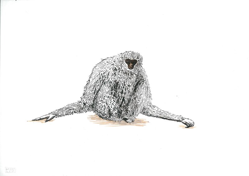 Keiman Mahabadi, Untitled, 2021