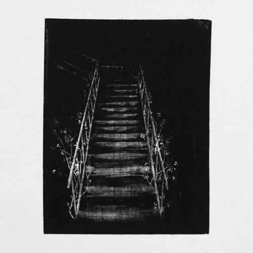 Shirin Heidarinejad, Untitled, 2020