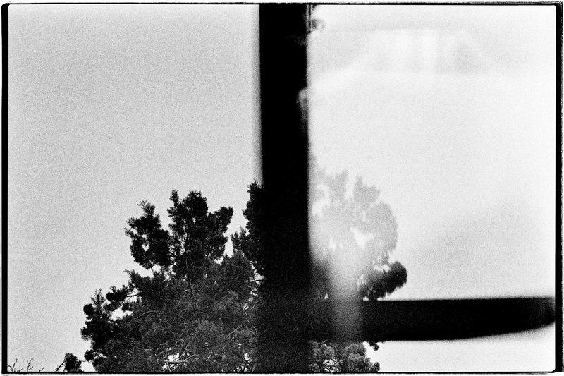 Abbas Babaei, Untitled