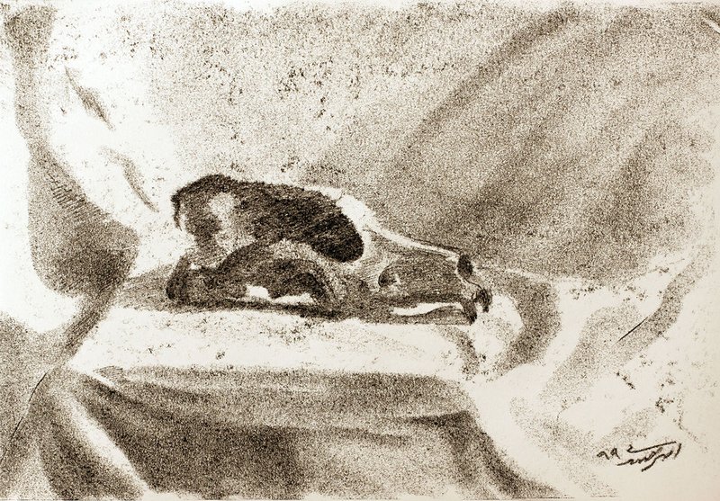 Amir Jadidi, Untitled, 2017