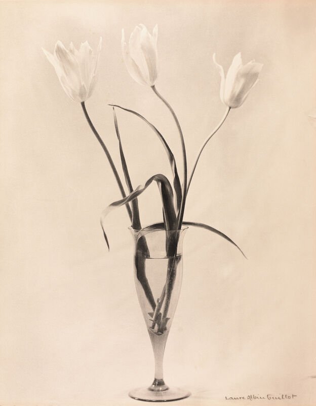 Laure Albin Guillot, Étude De Fleurs (With Vase), 1930