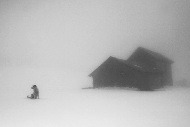 Siavash Naghshbandi, Untitled, 2008