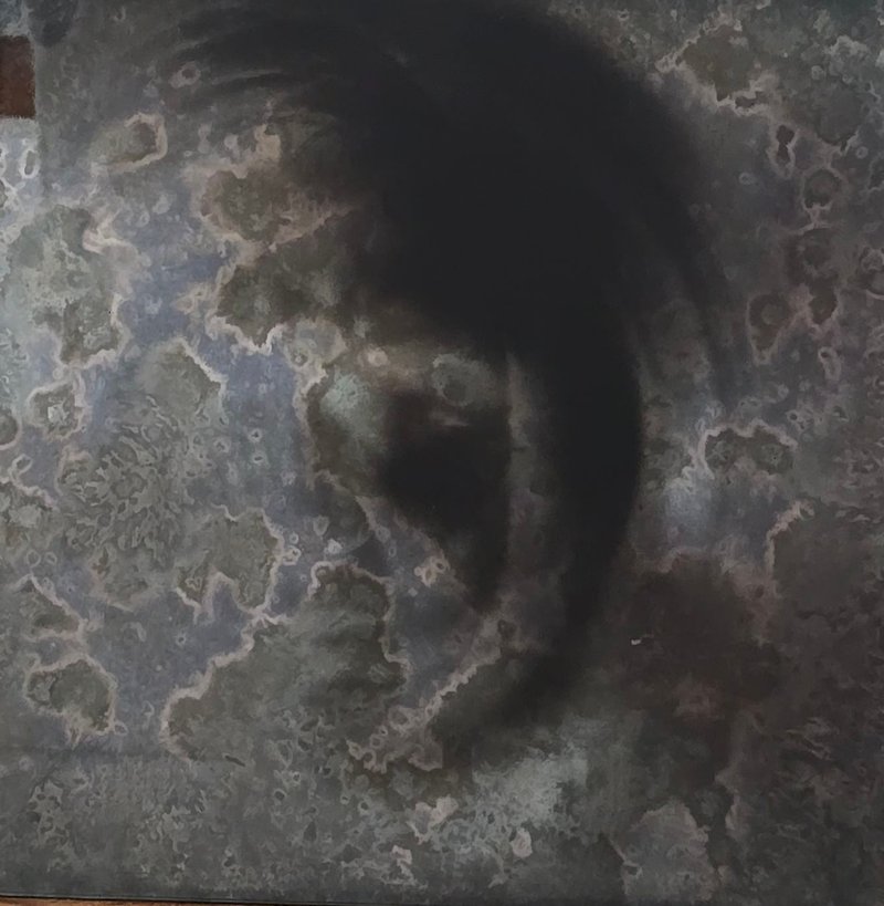 Arezo Khanpour, Untitled, 2024