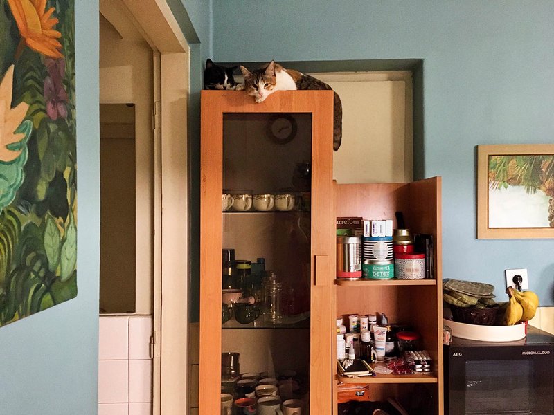 Golnaz Taheri, Kitchen 11