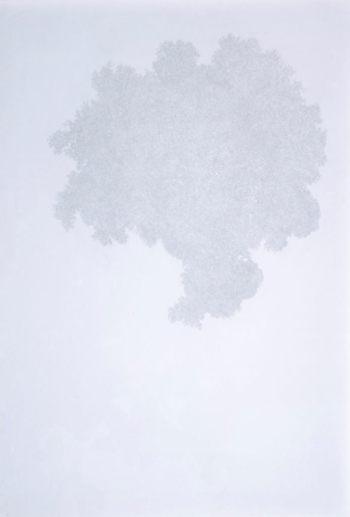 Samira Ahmadi Ghotbi, Untitled, 2019