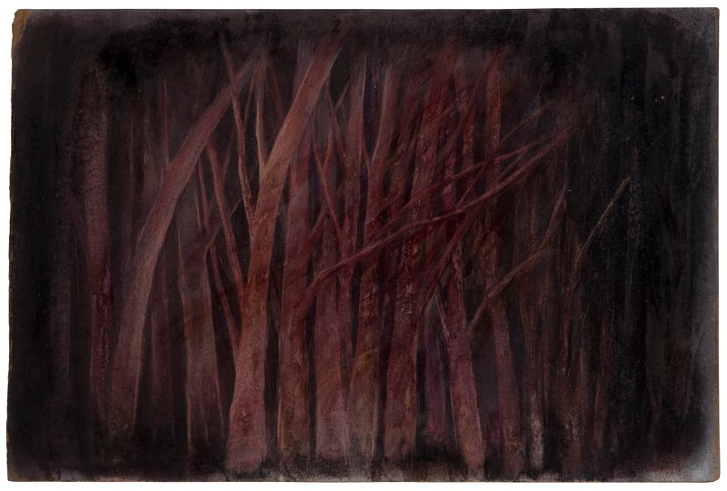 Samira Shakeri, Untitled, 2021